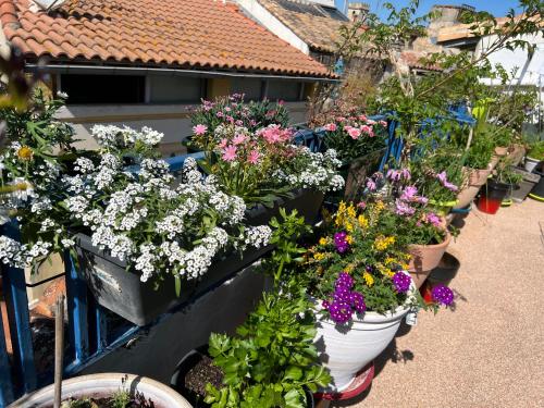 Κήπος έξω από το Loft Apartment , La Terrasse Centre Ville d'Arles,