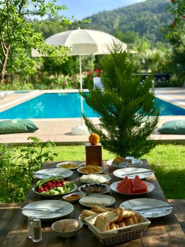 Gallery image of Olive Garden Olympos in Kumluca