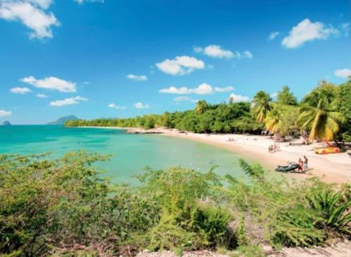 a beach with palm trees and people on it at Couleur Caraïbes-COCOBEACH MARTINIQUE PIERRE et VACANCES in Sainte-Luce