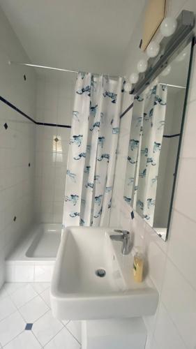 a bathroom with a sink and a shower curtain at Schlossapartments Wolfsberg in Wolfsberg