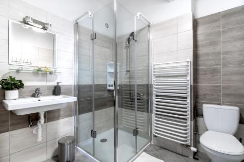 a bathroom with a shower and a toilet and a sink at U Francuza in Międzybrodzie Żywieckie