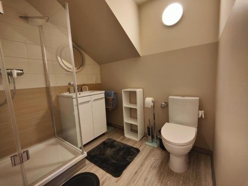 a bathroom with a toilet and a shower at Ferienwohnung Gohlke in Stralsund