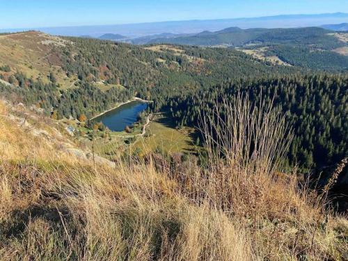 a view of a mountain with a lake and trees at Au Nid Des Pies in Soultzeren