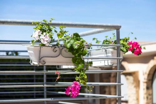a group of flowers in pots on a balcony at Rooms Dream Tropea in Tropea