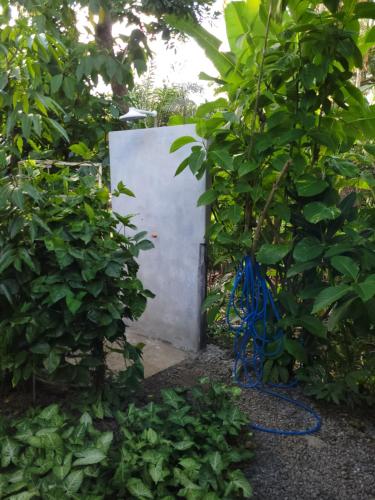 a gate in a garden with a blue hose at Villa Residencial Encantos Da Mata in Itacaré