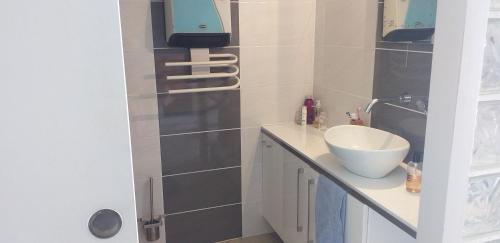 uma casa de banho com um lavatório branco e um espelho. em MAISONNETTE AU BORD DE L ETANG em Leucate