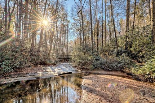 a stream in the middle of a forest with the sun shining at The Spotted Owl in Highlands