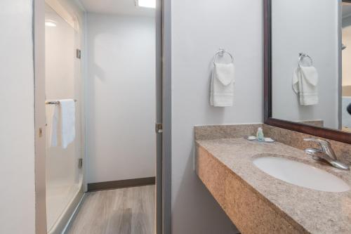 Phòng tắm tại Quality Inn & Suites Richardson-Dallas