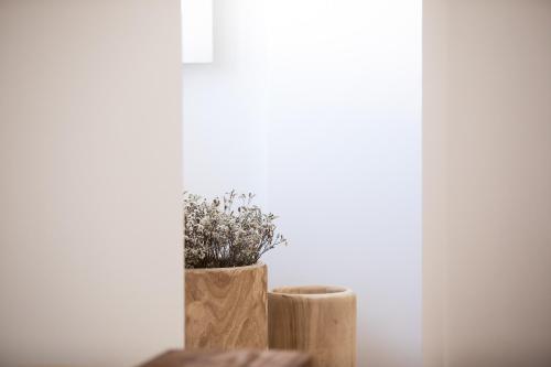 a plant in a pot sitting on a window sill at Casa do Gadanha in Estremoz