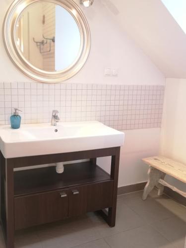 a bathroom with a sink and a mirror at Nowe Guty Fun in Nowe Guty