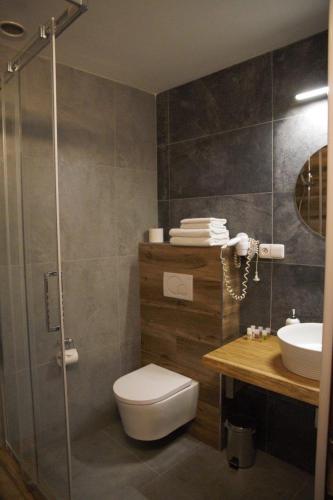a bathroom with a shower and a toilet and a sink at Hotel Svambersky dum in Český Krumlov