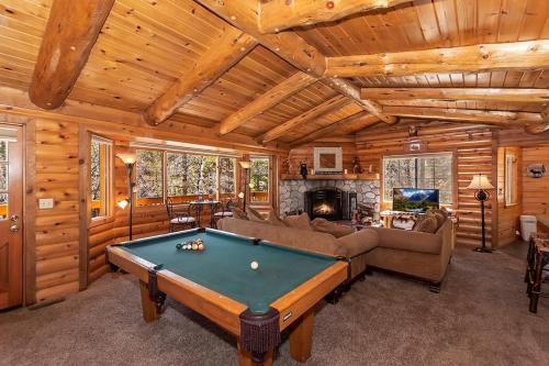 018 - Bearly Home – Photos 3
