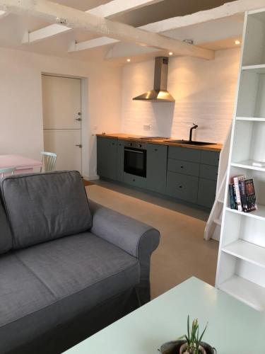 a living room with a couch and a kitchen at Country-living with a lovely view and own terrace, entrance and parking in Roskilde
