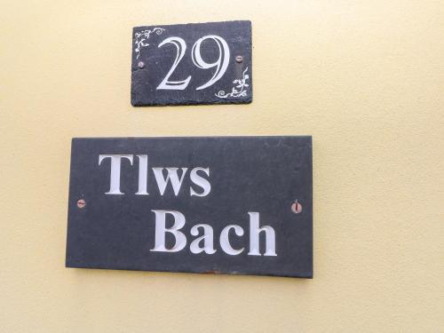 Tlws Bach – Photos 2