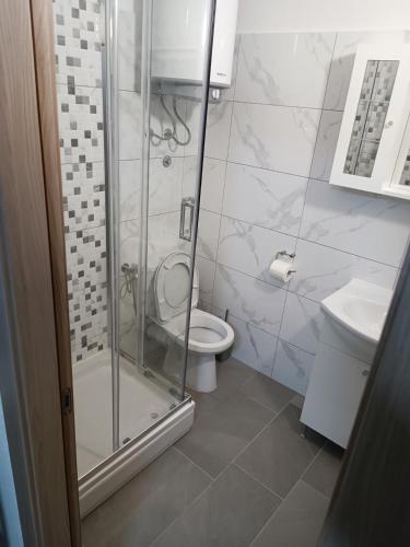a bathroom with a shower and a toilet and a sink at Apartman JAGODA in Senj