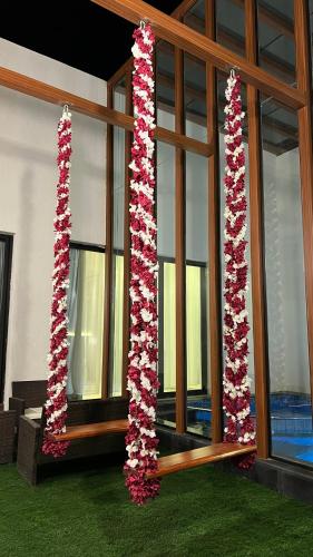 two windows are decorated with red and white flowers at شاليهات سنتارا in Taif