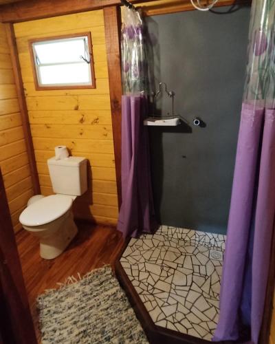 a bathroom with a toilet and a shower with purple curtains at Ada Verde in Rio dos Cedros