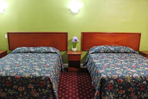Royla Motel – Photos 3