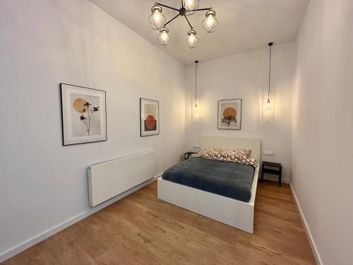 Posteľ alebo postele v izbe v ubytovaní Apartamenty Wolności 18
