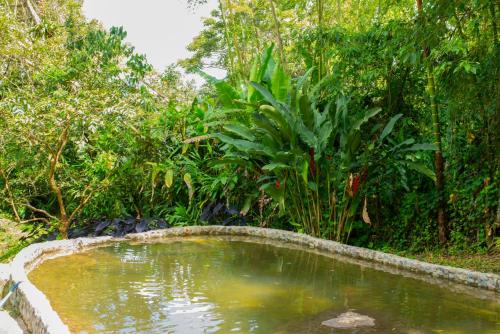 a pool of water in the middle of a forest at FINCA HOTEL CARMONIA DEL BOSQUE in Venecia