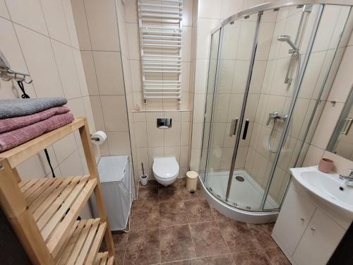 a bathroom with a shower and a toilet and a sink at Apartament 15 z ogródkiem - Pogorzelica in Pogorzelica