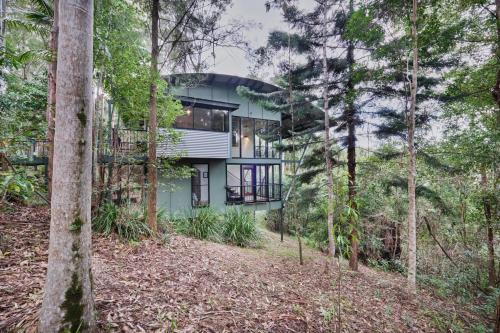 a green house in the woods with trees at EcOasis in Uki