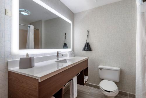 a bathroom with a sink and a toilet and a mirror at Holiday Inn Express Charlotte West - Gastonia by IHG in Gastonia