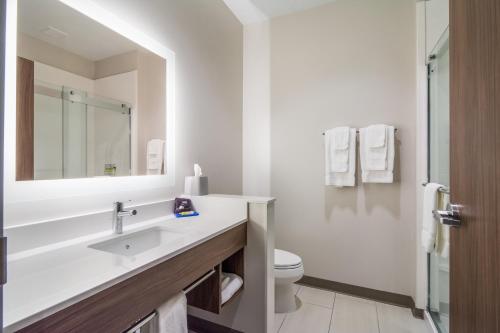 Vonios kambarys apgyvendinimo įstaigoje Holiday Inn Express & Suites - Asheboro, an IHG Hotel