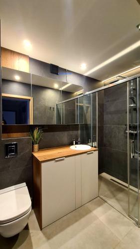 a bathroom with a toilet and a sink and a shower at Mazurski apartament in Ostróda