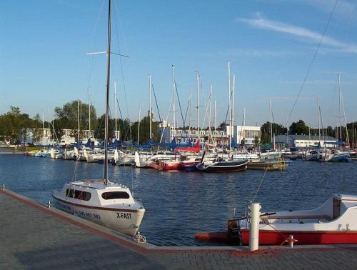 a group of boats are docked in a marina at Nowoczesny Apartament z widokiem na jezioro in Charzykowy