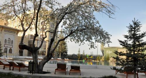 a tree with benches in front of a building at CONNECT THERMAL HOTEL in Ankara