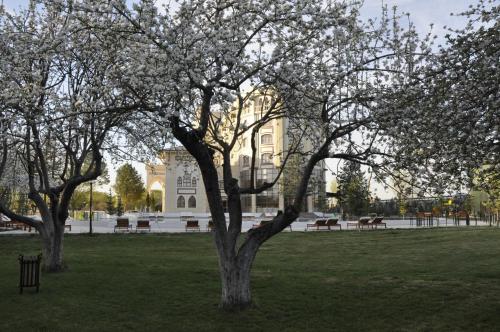 a tree in the grass in front of a building at CONNECT THERMAL HOTEL in Ankara