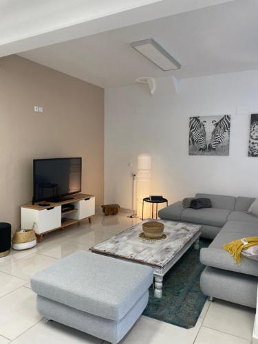 uma sala de estar com um sofá e uma televisão em Stadtsuite mit Sauna in Wiener Neustadt 135 m2 em Wiener Neustadt