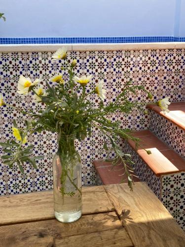 Casa Clemente 32, Private house with plunge pool