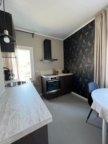 a kitchen with a sink and a counter top at The Bird Cherry Junior Suite in Varkaus