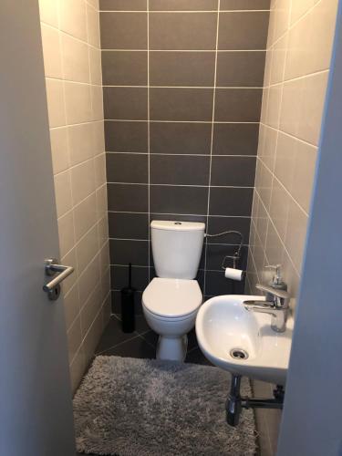 a bathroom with a toilet and a sink at Šamorín modern apartmens in Šamorín