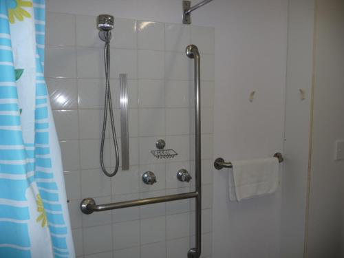 y baño con ducha y cortina de ducha. en Blue Pelican Motel, en Tweed Heads