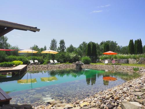 una piscina de agua con sombrillas en un patio en Birkholmhof en Bärnau