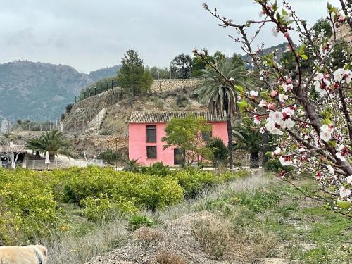 a pink house sitting on top of a hill at Casa Ramoncico. Finca el Campillo in Blanca