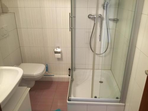 uma casa de banho com um chuveiro e um WC. em 1Z.FeWo 236 barbo Schwimmbad,Sauna,Fitness em Schönwald