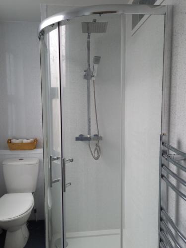 ein Bad mit einer Glasdusche und einem WC in der Unterkunft clazzers apartment 2 in Bridlington