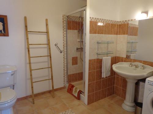 une salle de bain avec une douche, un lavabo et des toilettes dans l'établissement La Maison Ribotteau - The Coach House Gîte, à LʼIsle-Jourdain