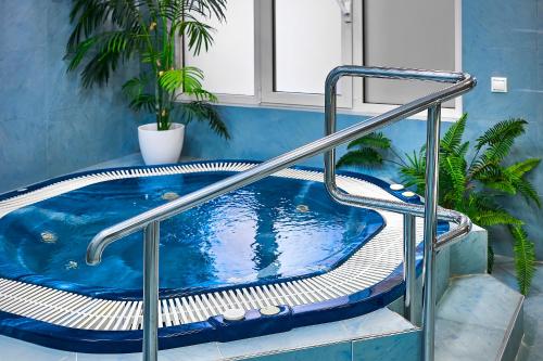 a jacuzzi tub with a metal handrail in a building at Salvator Hotel in Karlovy Vary