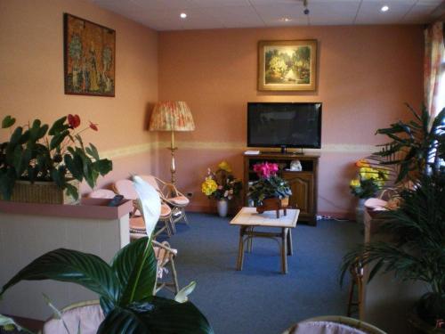 a living room with a flat screen tv and plants at Le VAL du CANTAL in Polminhac