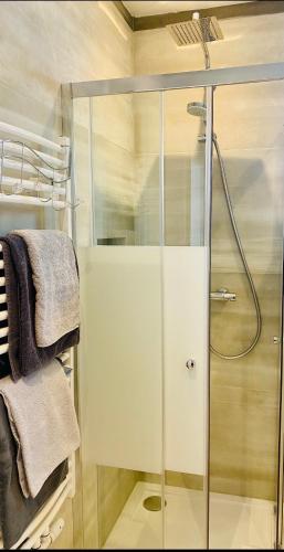 a shower with a glass door in a bathroom at Ferienhaus Butterfly 2 in Garmisch-Partenkirchen