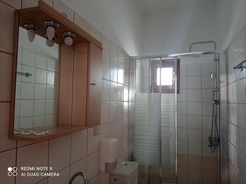 a bathroom with a shower and a toilet and a mirror at Faragi in Agia Roumeli