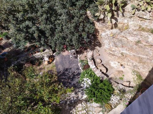 an overhead view of a garden with a tree and rocks at Castro Kerame in Kerames