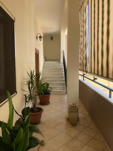 a hallway with potted plants and stairs in a building at B&B 43 in Santa Maria Capua Vetere