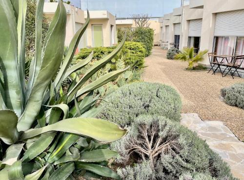 Zahrada ubytování Amerique Hotel Palavas - Piscine - Plage