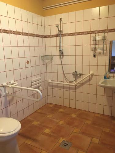 a bathroom with a toilet and a sink at Pipagyujto Malom in Kehidakustány